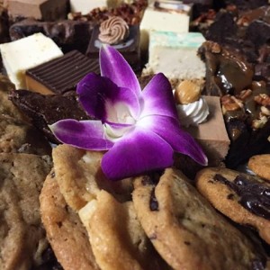 Cater desserts to Philadelphia office party